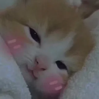 💗