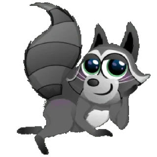 Mapache