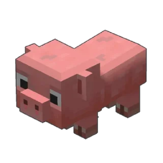 🐖