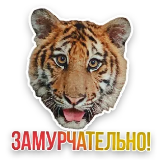 🐯