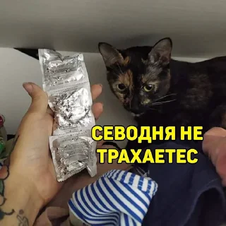😾