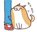 🐶