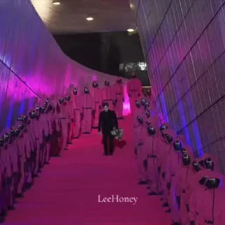 🌟