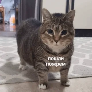 🍕