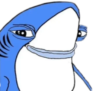 🦈