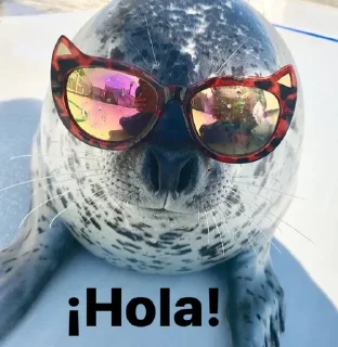 👋
