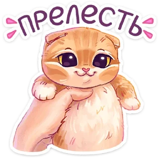 ☺️