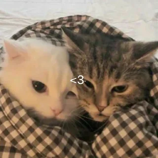 ❤️