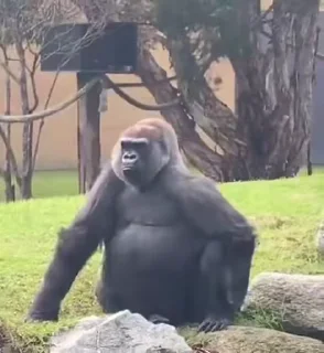 😏