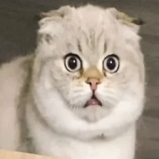 🤯