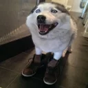 😁