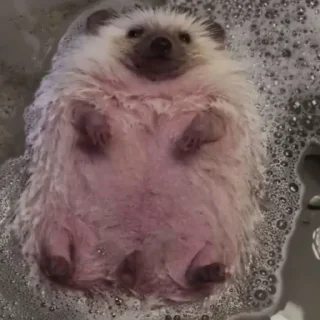 🛁