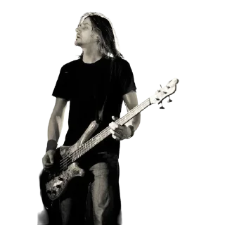 🎸