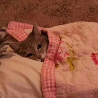 🌜