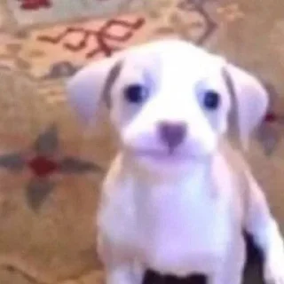 😐
