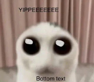 ☃️