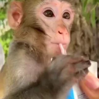🤩