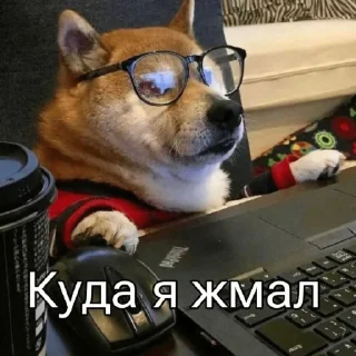 @FivePlusSchool
