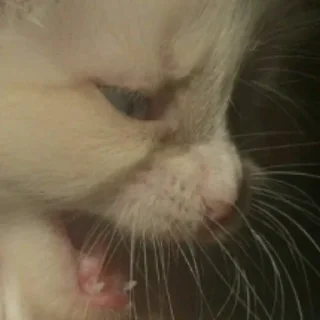 😭