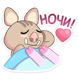 😴