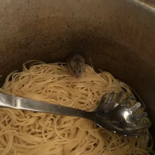 😳