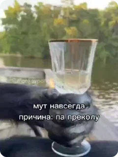 🌟