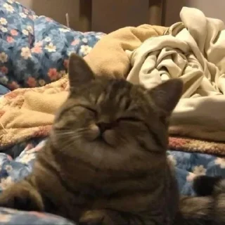🤯