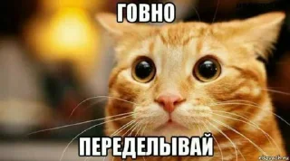 👎