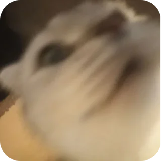 🤲