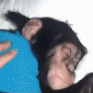 🛌