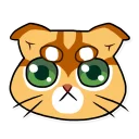 katifnah