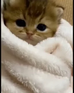 😮