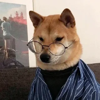 🐶