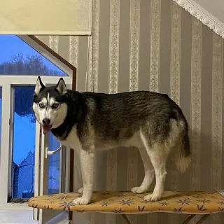 😐