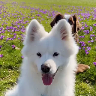 🤗