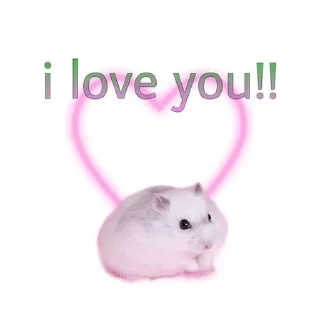 🐹