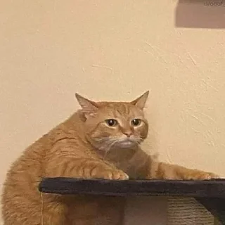 😑