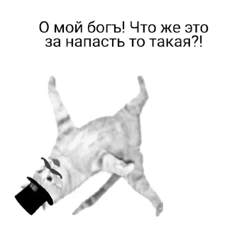😱
