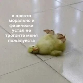 😞