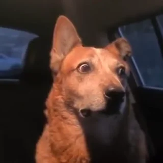 😳