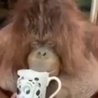 🥤
