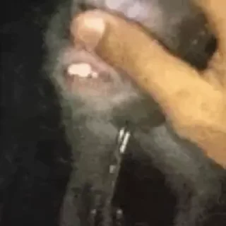 👊