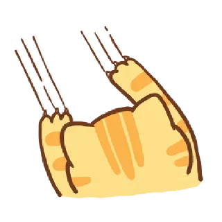 🐱