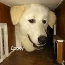 😁