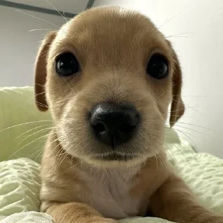 😐