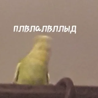 😵