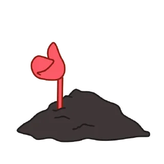 👍