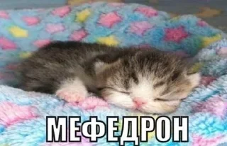 😌