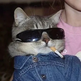 😎