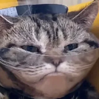 🙁
